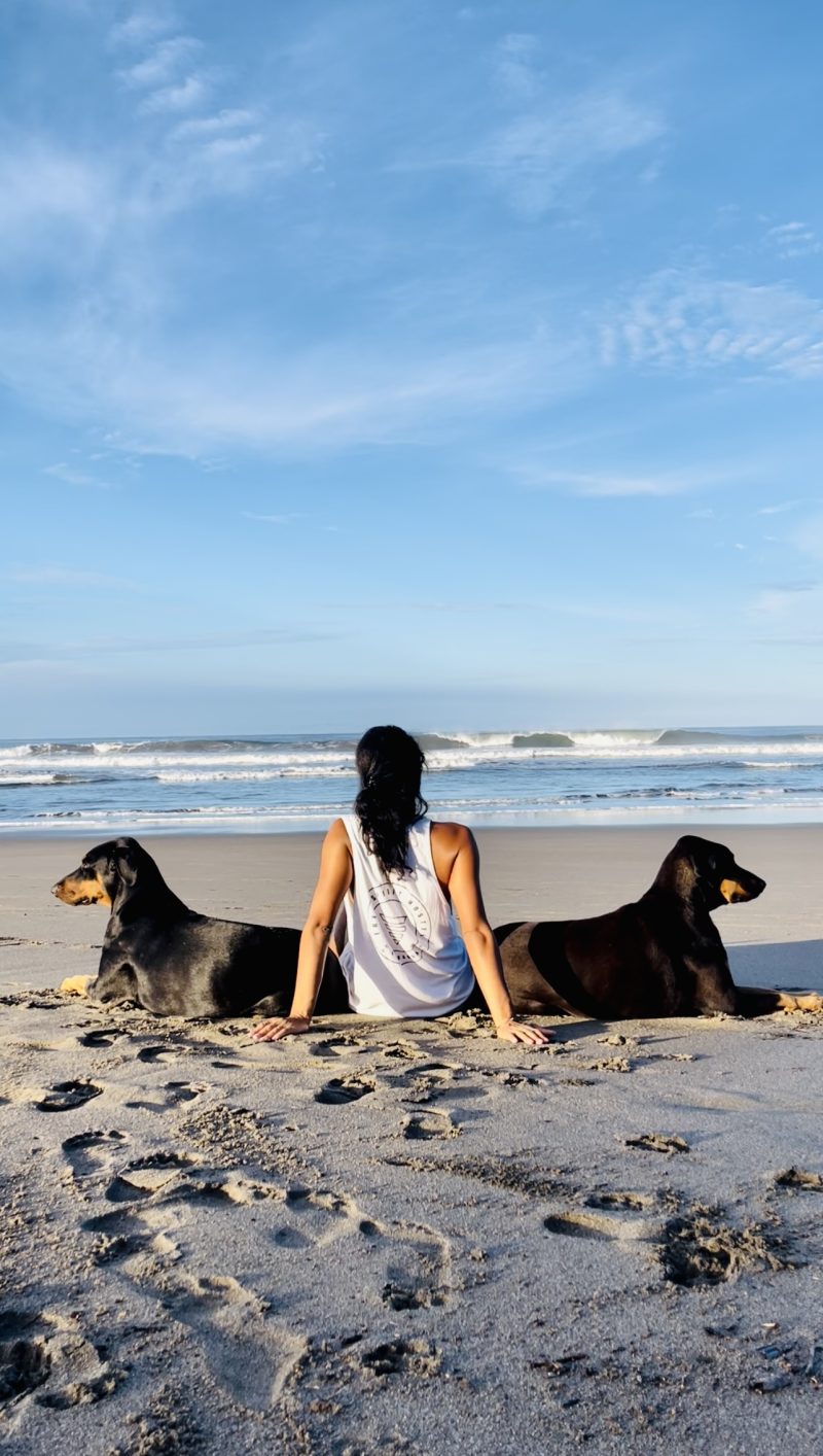 “Beyond Labels: The Truth About Introverts and Extroverts”